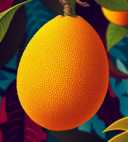 Jackfruit Paragraph for Class 6-12, SSC, HSC, 150, 250, 300 Words